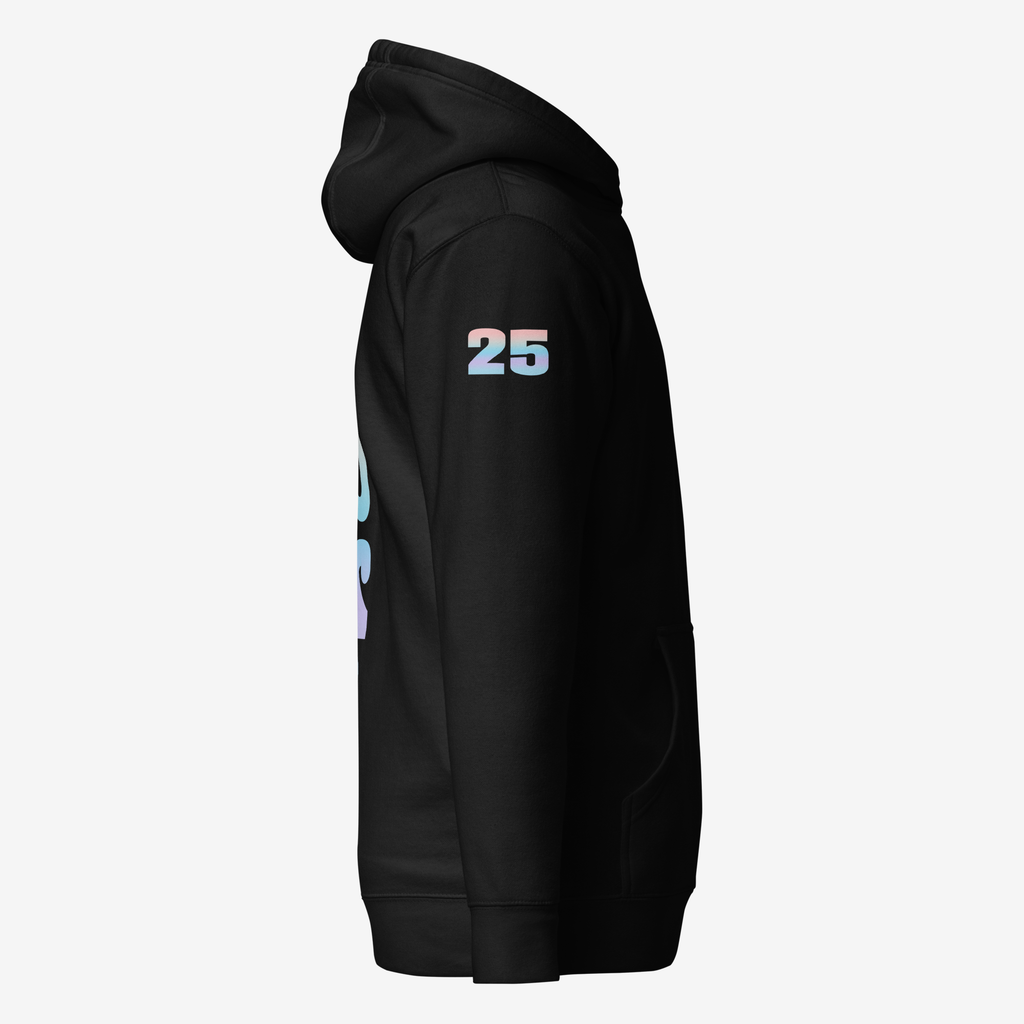 Journeys Hoodie - 2026